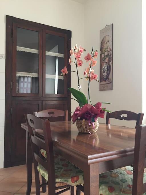 Apartmán Narni.Umbria Narni Scalo Exteriér fotografie