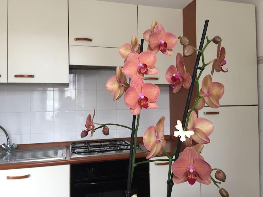 Apartmán Narni.Umbria Narni Scalo Exteriér fotografie